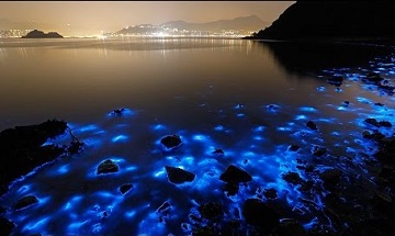 Самые красивые слова в мире
