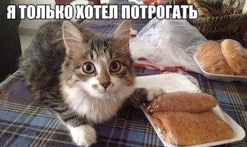 Откуда взялось выражение «Сaught red handed»?