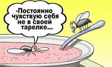 Откуда появилось выражение "не в своей тарелке"?