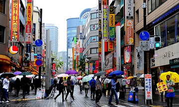Японские дожди: слива, плесень и кислота