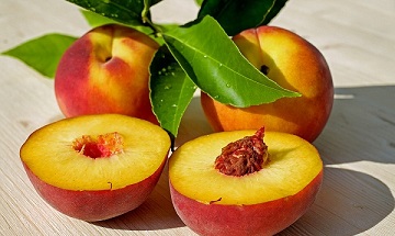 Откуда произошло слово «персик»?